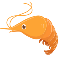 cute shrimp png