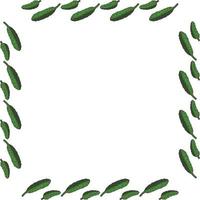 Square frame with horizontal drawing cucumber. Isolated wreath on white background for your design vector