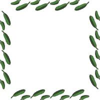 Square frame with horizontal drawing cucumber. Isolated wreath on white background for your design vector