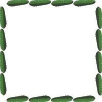 Square frame with horizontal green cucumber. Isolated wreath on white background for your design vector