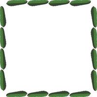 Square frame with horizontal green cucumber. Isolated wreath on white background for your design vector