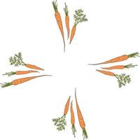 Square frame with vertical vector carrots. Isolated wreath on white background for your design