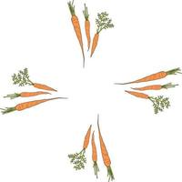 Square frame with vertical vector carrots. Isolated wreath on white background for your design