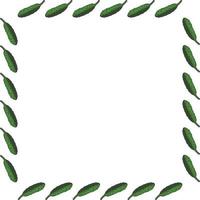 Square frame with horizontal vector cucumber. Isolated wreath on white background for your design