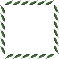 Square frame with horizontal vector cucumber. Isolated wreath on white background for your design