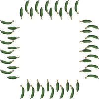 Square frame with vertical green cucumber. Isolated wreath on white background for your design vector