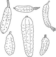 Set of black and white contour cucumbers. Pack of monochrome outline vegetables. vector