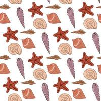 Seamless pattern with multicolored sea shells and starfish on white background. Vector image.