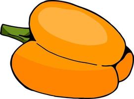 Orange pepper on white background. Vector image.