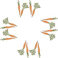Square frame with vertical beautiful carrots. Isolated wreath on white background for your design vector