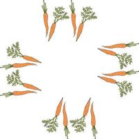 Square frame with vertical beautiful carrots. Isolated wreath on white background for your design vector