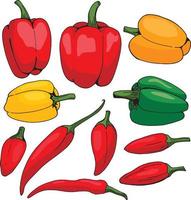 Set of colored peppers on white background. Collection of different types of peppers for your design. vector