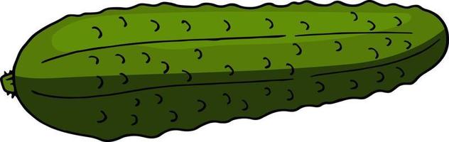 Big cucumber on white background. Vector image.