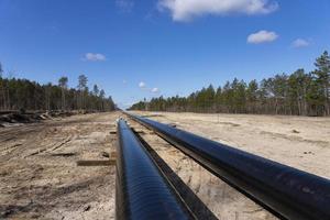 Crude oil and Natural gas pipeline construction work in forest area. Petrochemical Pipe on top of wooden supports. Installation and Construction the Pipeline for transport gas to LNG plant photo