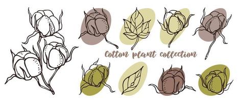 Cotton plant Collection outline Vector Illustration. Hand-drawn engraving flowers, leaves, plant parts for logo design and wedding invitation. Botanical rustic trendy sketch on color spots