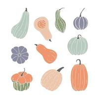 conjunto dibujado a mano de otoño de calabaza. elementos de acción de gracias y halloween vector