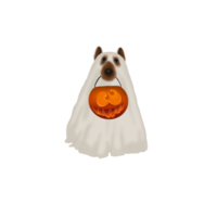 Halloween-Kostüme Hund hält Kürbis png