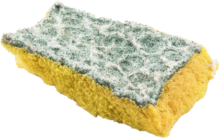 Old and Dirty Dish washing sponge isolated png