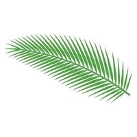 cute of palm leaf on cartoon version vector