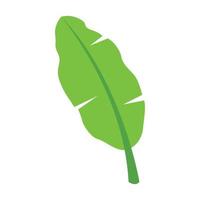 cute of banana leaf on cartoon version vector