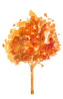 autumn tree watercolor illustration. png