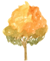 Herbstbaum-Aquarellmalerei png