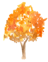 ilustración de acuarela de árbol de otoño png