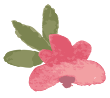 rood mooi waterverf botanisch wild bloemen.bloemen illustratie. png