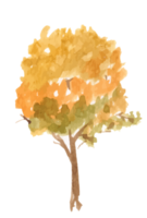 autunno albero acquerello illustrazione. png