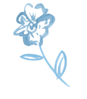 botanische Wildblumen. handgezeichnete Doodler-Blumenillustration. png