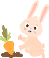 le personnage de lapin fermier est fermier et carottes dans le jardin png