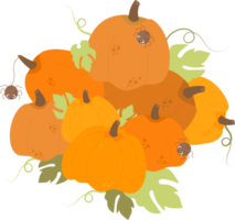 herfst met veel oranje pompoenen en schattige spinnen png