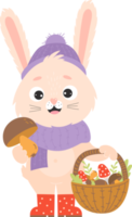 Rabbit mushroom picker. Autumn Hare character in  knitted hat scarf and rubber boots with wicker basket of mushrooms png