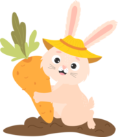 personagem de coelhinho fofo é agricultor com grandes cenouras no jardim png