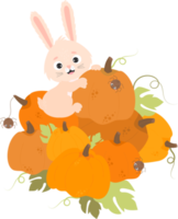 le personnage de lapin mignon est un agriculteur avec une grosse récolte de citrouilles png