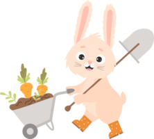 rabbit character is  farmer with harvest wheelbarrow png