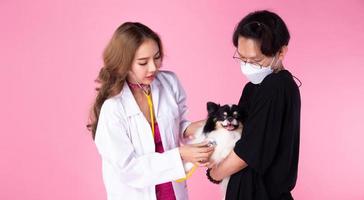 Veterinarian Doctor wear cocky pink dress, check up old sick dog for health condition photo