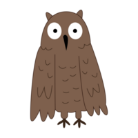 lindo pájaro búho en carácter ilustrativo png