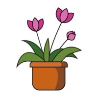 house plant and floral decoration in cute illustration design element png