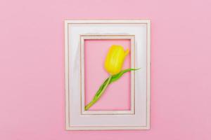 Yellow Tulip in a pink frame on a pastel background. Creative layout made with flowers and photo frame. Spring minimal concept