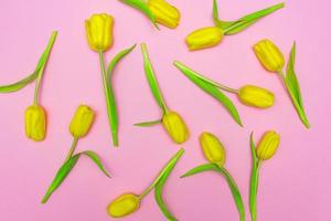 Floral pattern made of yellow tulips on pink background. Flat lay, top view. Holiday background photo