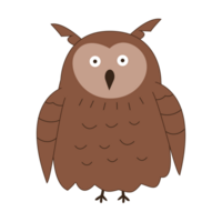 lindo pájaro búho en carácter ilustrativo png