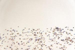 Dried medicinal lavender herb flowers scattered on grey background photo