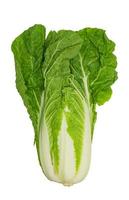 fresh chinese cabbage isolated on a white background with clipping path photo