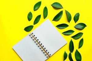 Blank spyral Notepad in the center on yellow background with green leaves of ruskus. Creative mockup. photo