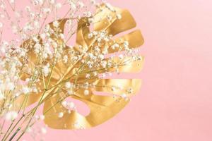 Trendy pink background with gold monstera leaf and blooming gypsophila branch. Copy space for text photo