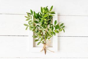 Bunch of green leaves branches in white photoframe. Nature conservation concept photo