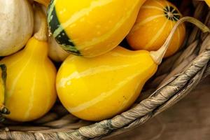 Autumn pumpkin background. Close up of mini pumpkins at farmers market photo