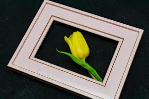 Beautiful composition with spring flowers. Photo frame, yellow tulip on black background