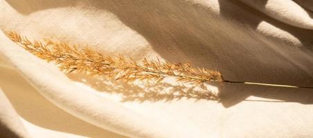 beige neutral colored textile, linen fabric with decor dry pampas grass. banner photo